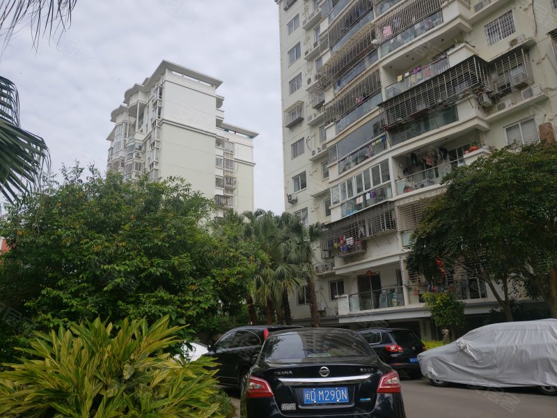 金沙花园,西林西二里31-38号-厦门金沙花园二手房,租房,房价-厦门安居