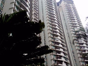 南山中心区小区图片