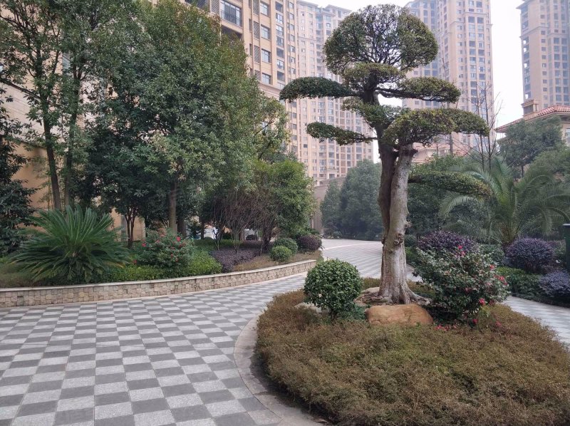 香江水岸新城(公寓住宅)