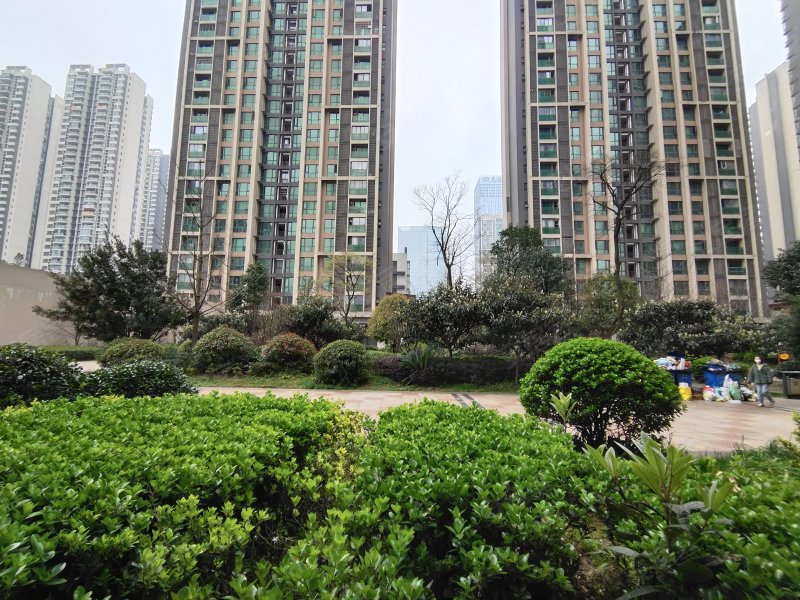 中天会展城b区b8组团