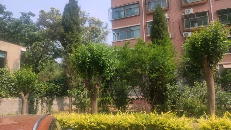 玫瑰花园,工业南路295号-济南玫瑰花园二手房,租房,房价-济南安居客