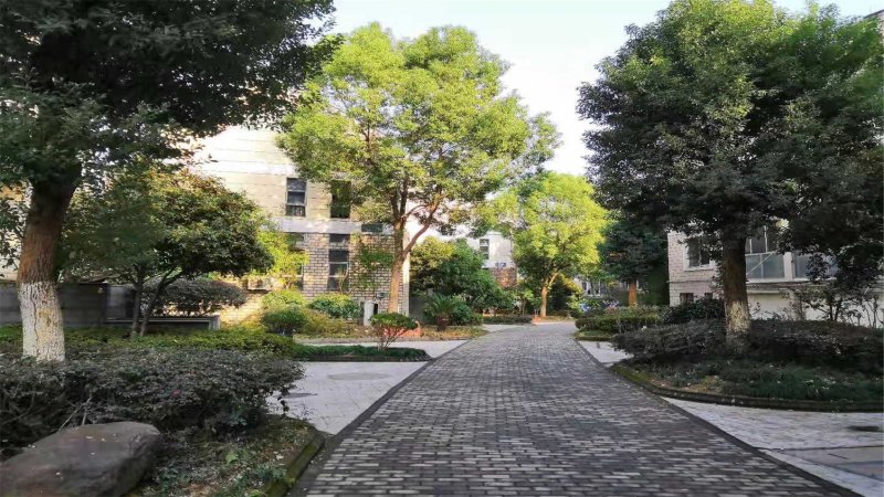 保集半岛,八一南街1688号-金华保集半岛二手房,租房,房价-金华安居客