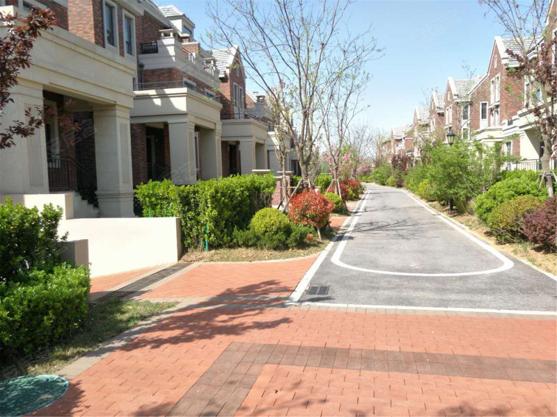 世茂红墅湾(别墅),祥源路-青岛世茂红墅湾(别墅)二手房,租房,房价