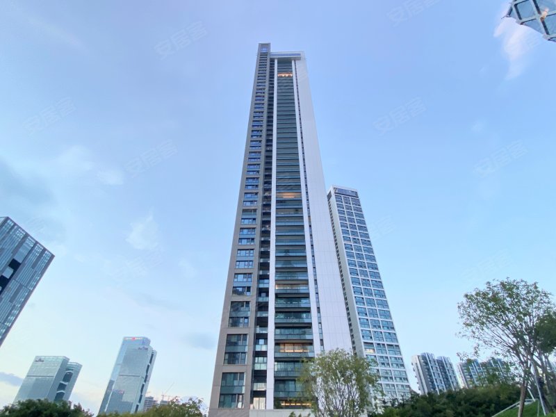 华润深圳湾悦府(一期)