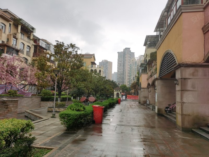 金龙国际花园