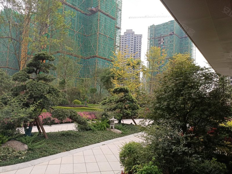 金府名门,阜成路东段-眉山金府名门二手房,租房,房价-眉山安居客