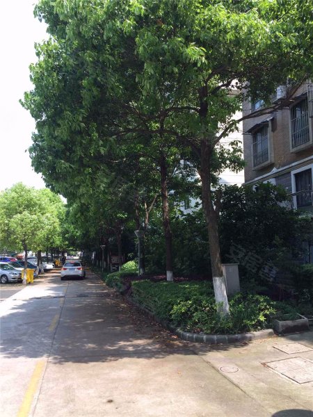 紫金海岸,马群新街102-1号-南京紫金海岸二手房,租房,房价-南京安居客