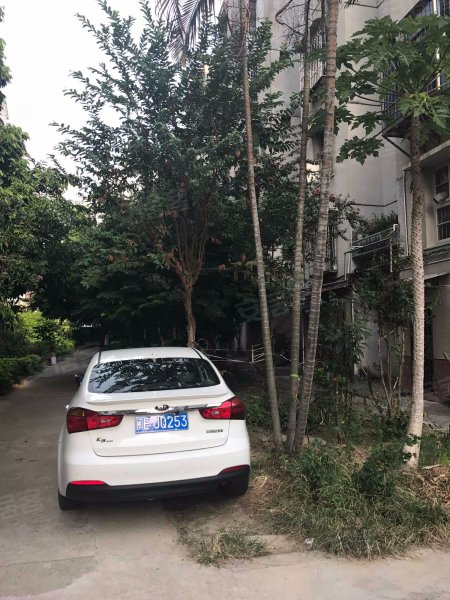 教师新村(芗城),新浦路26号-漳州教师新村(芗城)二手房,租房,房价