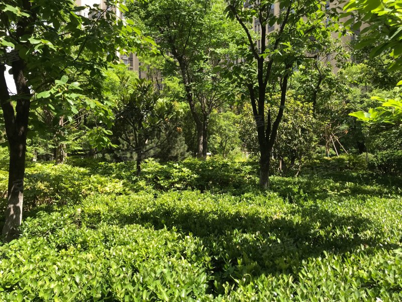 湖滨花园(曲江)