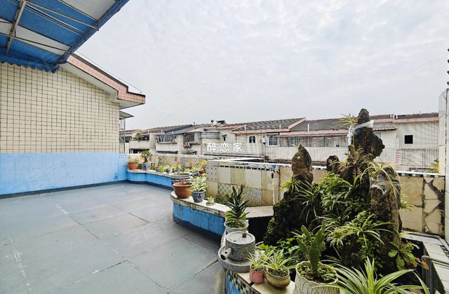 阳光花园5室3厅245㎡56.8万二手房图片