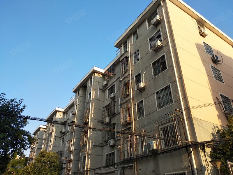 文化新村(惠南) 