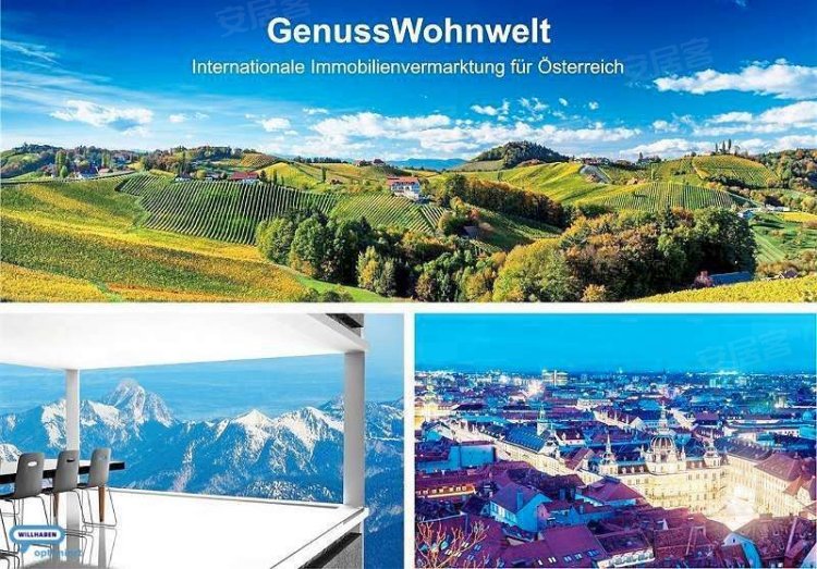 奥地利约¥392万AustriaSchlad gApartment出售二手房公寓图片
