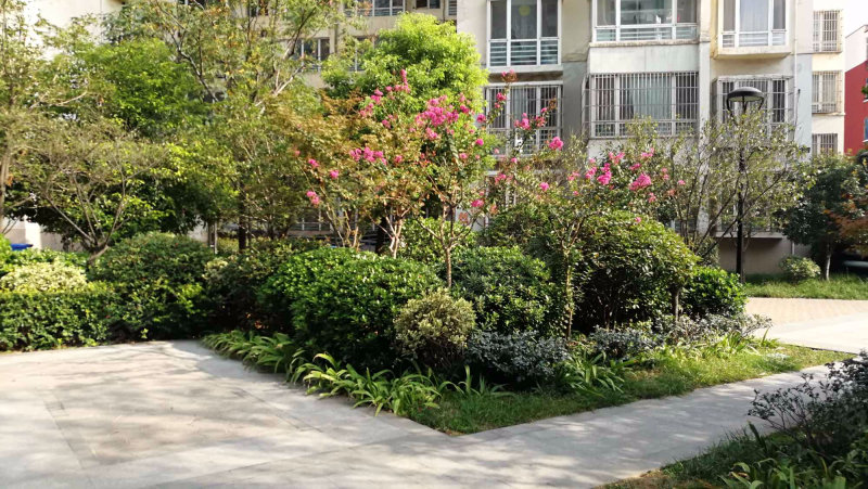 檀香园,联盟路29号-洛阳檀香园二手房,租房,房价-洛阳安居客