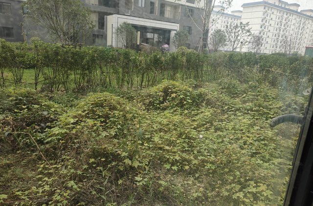 正商书香华府3室2厅108㎡53万二手房图片