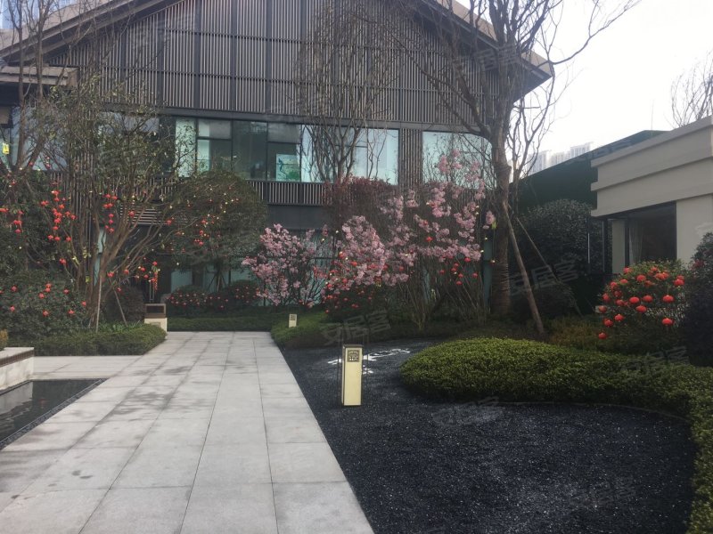 碧桂园青江府,凤洲路,近至乐路-乐山碧桂园青江府二手房,租房,房价
