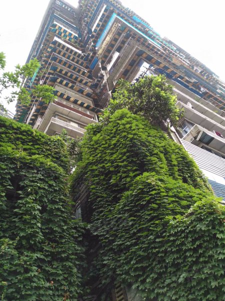 嘉华大厦,嘉陵江滨江路109号-重庆嘉华大厦二手房,租房,房价-重庆安居