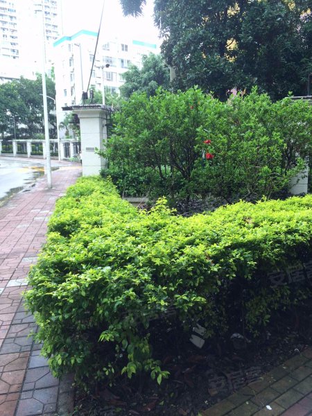 万科城市花园桂苑