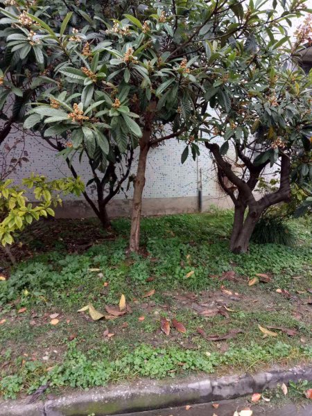 共康路400弄小区 