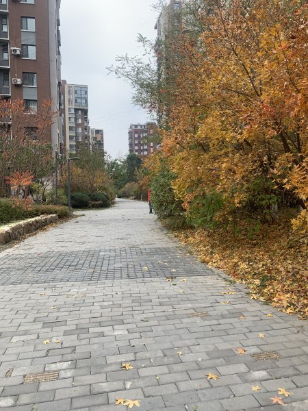 阳光上品,陵园街32-3号-沈阳阳光上品二手房,租房,房价-沈阳安居客