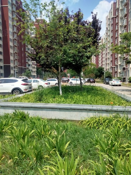 漪汾花园,滨河西路-临汾漪汾花园二手房,租房,房价-临汾安居客