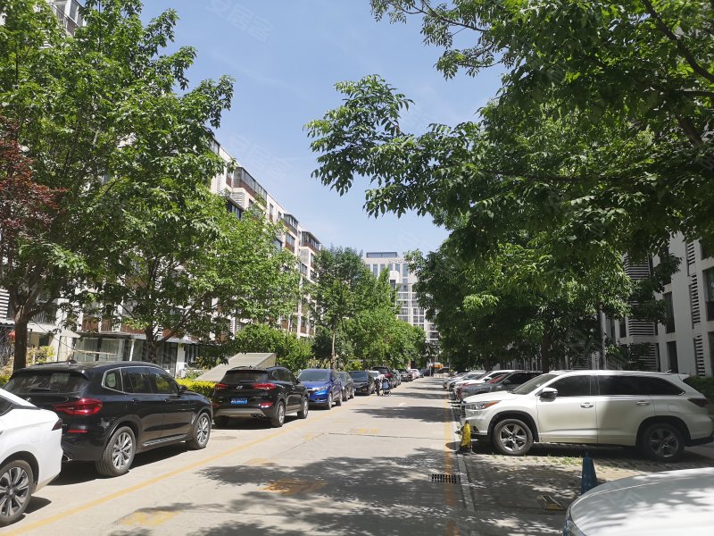 柏林爱乐(四期)