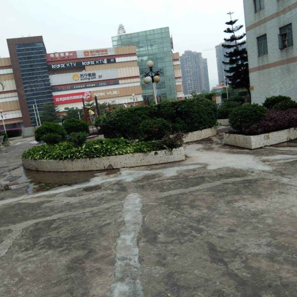 龙腾花园