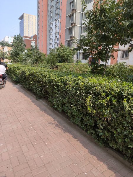 水榭花城,复兴西路99号-保定水榭花城二手房,租房,房价-保定安居客