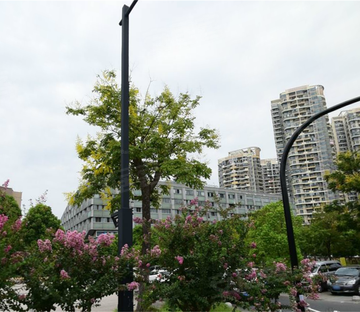 下沙江滨小区图片