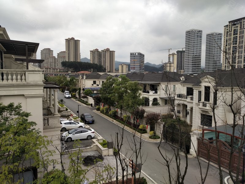 实地蔷薇国际(别墅),新蒲大道,近播州大道-遵义实地蔷薇国际(别墅)