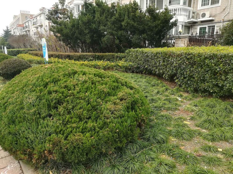 虹桥晶典苑,虹梅路2838弄-上海虹桥晶典苑二手房,租房,房价-上海安居