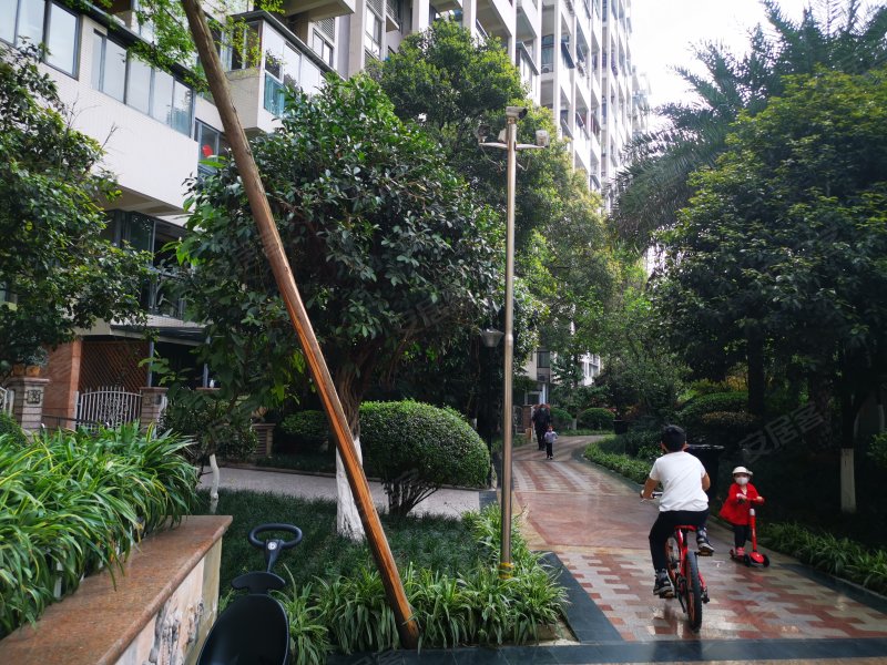 泊景湾,龙腾中路12号,龙腾正街180号-成都泊景湾二手房,租房,房价