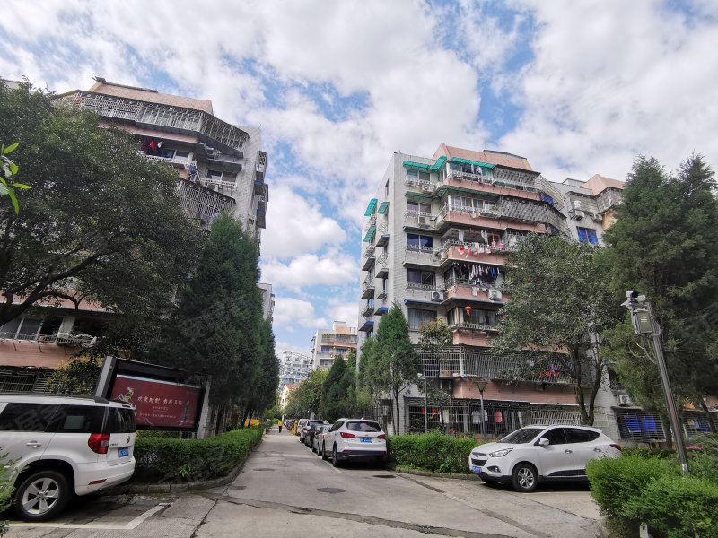 竹园,新蒲路66号-温州竹园二手房,租房,房价-温州安居客