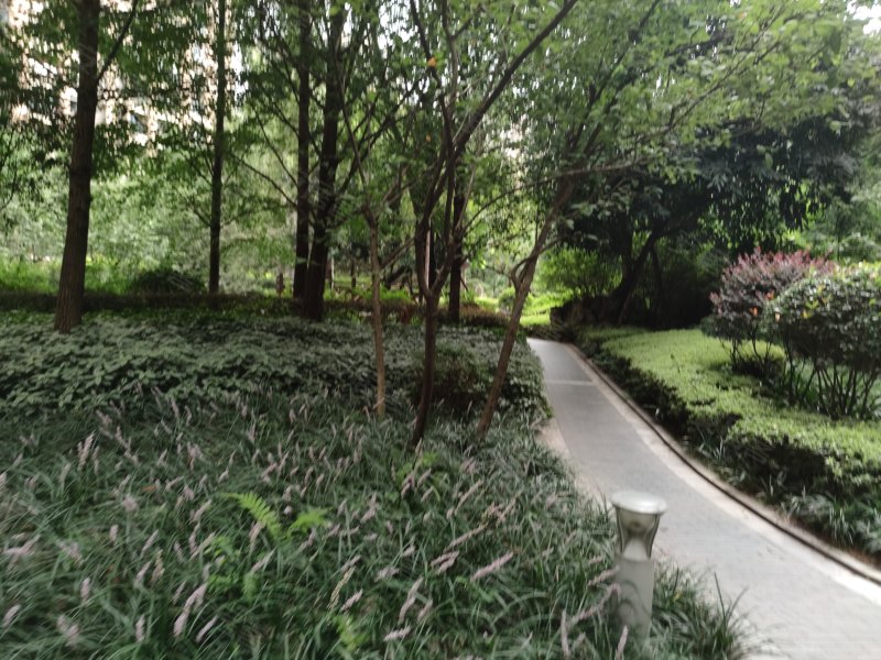 莱茵河畔,航天路4号-宜宾莱茵河畔二手房,租房,房价-宜宾安居客