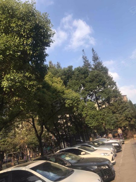 杨高南路2326弄小区 