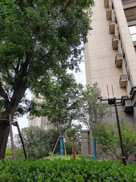 绿都澜湾樟园,中州大道,近001乡道-郑州绿都澜湾樟园二手房,租房,房价