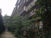 东风路小区图片