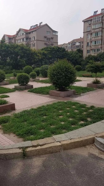 阳光舜城中区十三区