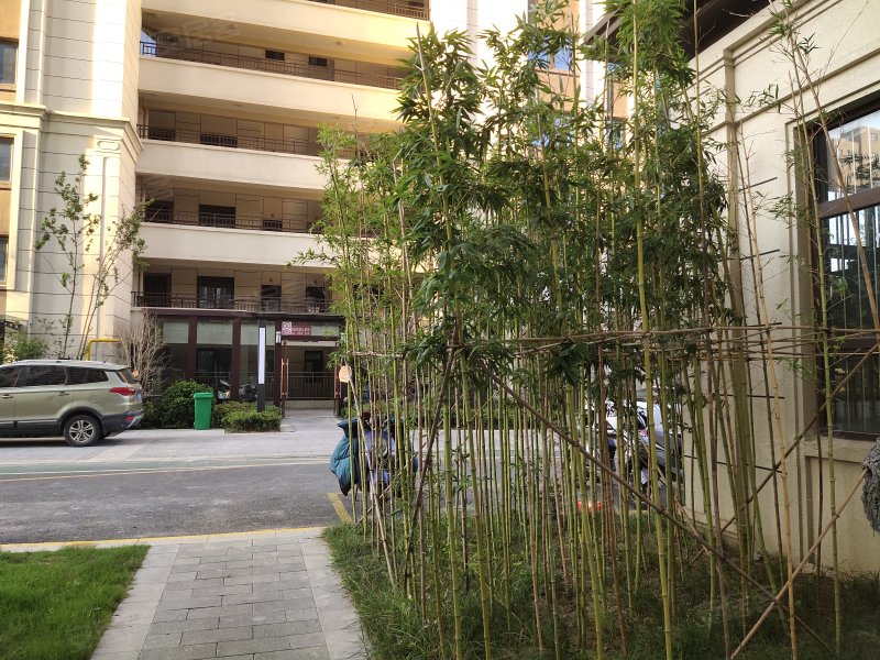 中梁郁洲壹号院,紫金山路