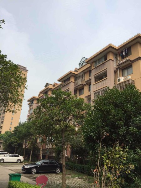 大华锦绣华城十六街区(公寓住宅) 