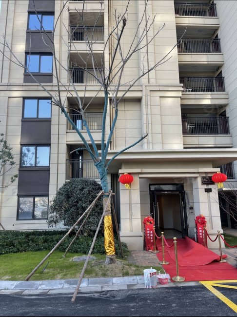 房东急售 蓝光雍锦湾 双卫生间 次新房 板楼 看房随时