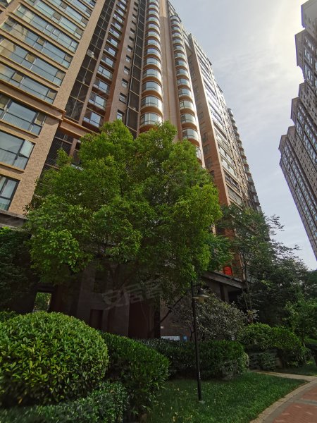 绿城水岸名苑,金水路201号-郑州绿城水岸名苑二手房,租房,房价-郑州