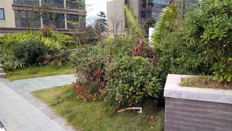 伴山御景,世纪大道300号-晋江伴山御景二手房,租房,房价-晋江安居客