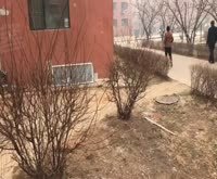 茂盛花苑 七莘路35弄 上海茂盛花苑二手房 租房 房价 上海安居客