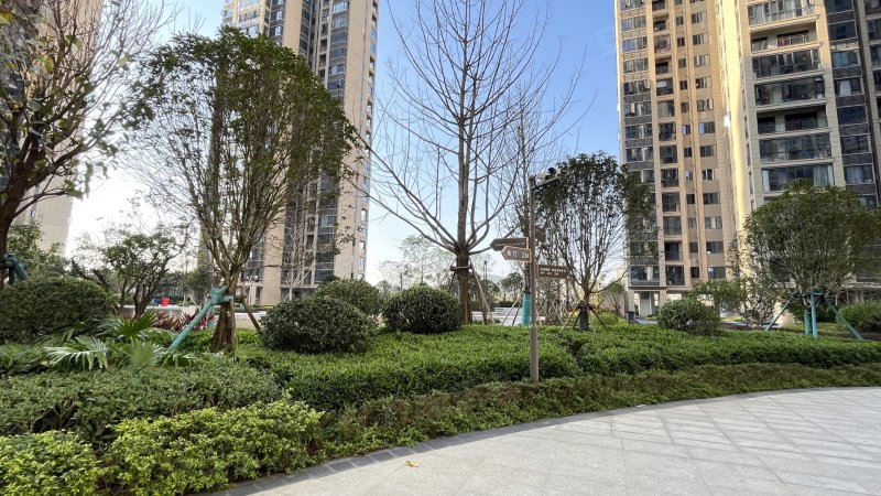 金碧苑电梯4房 采光户型好 近三小二中 农贸市场体育中心