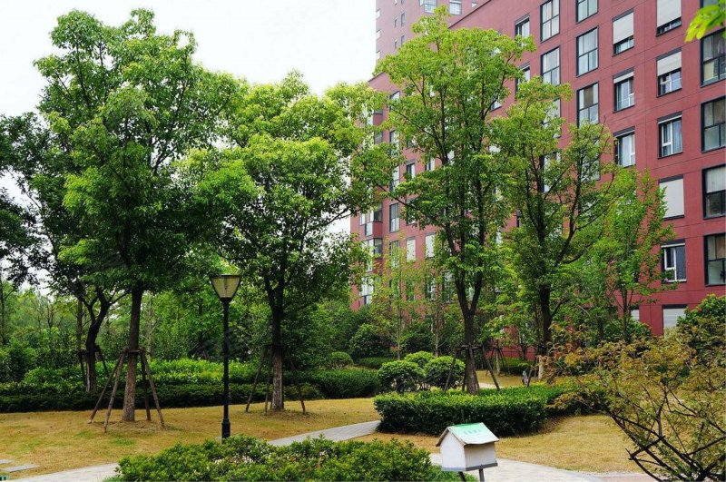 朗诗国际街区南园