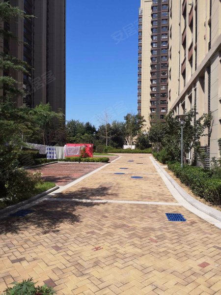 信达蓝庭福邸,抚顺路33号-青岛信达蓝庭福邸二手房,租房,房价-青岛