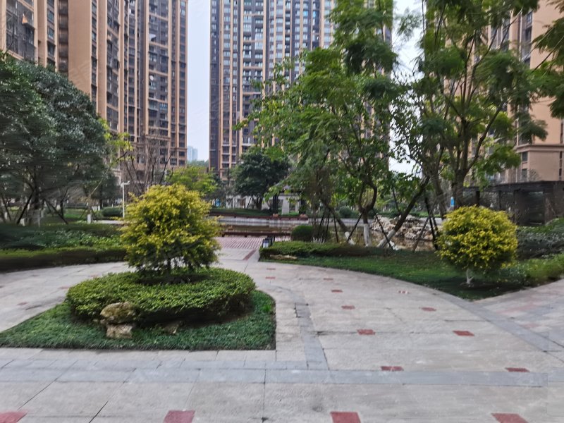 鸿通凤凰国际,三苏路,近瑞祥路-乐山鸿通凤凰国际二手房,租房,房价