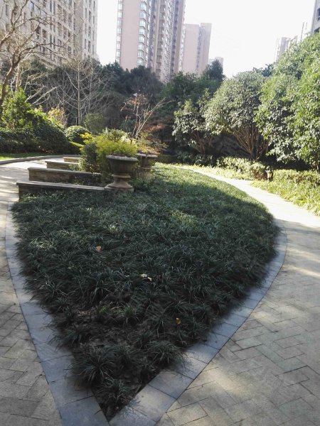 保利林语溪(别墅) 