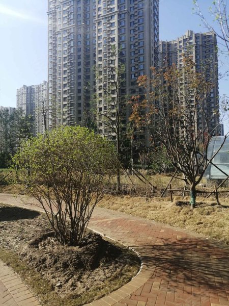 昌润莲城瑞荷园