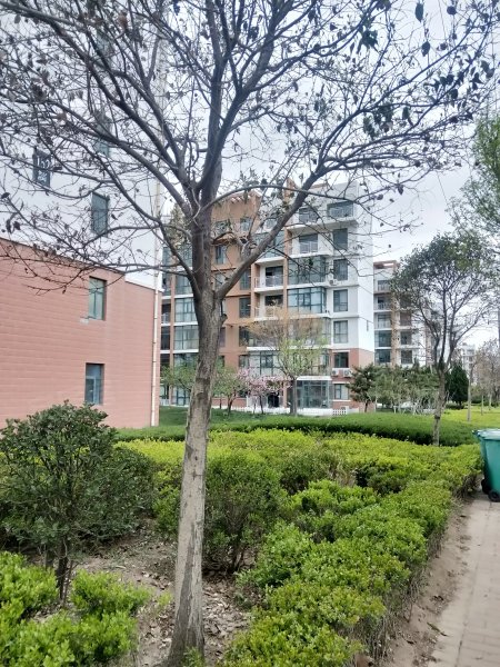 世纪花园(二期),南山中路-烟台世纪花园(二期)二手房,租房,房价-烟台